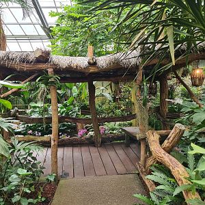 Viewing hut in "Amazon" hall