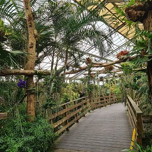 Floating plant bridge in "Amazon" hall