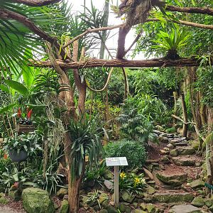 Adventure path in "Amazon" hall