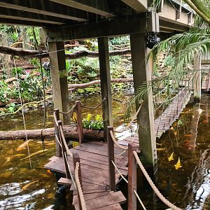 Hanging bridge in "Amazon" hall