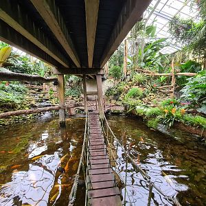 Hanging bridge in "Amazon" hall