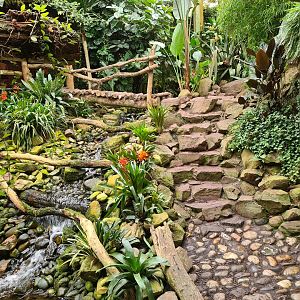 Waterfall and adventure path in "Amazon" hall