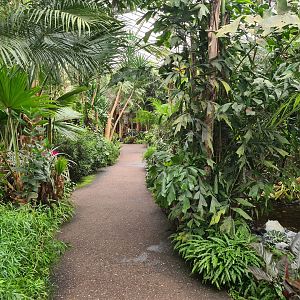 Pathway in "Amazon" hall