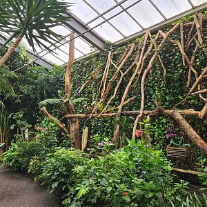 Climbing frame in "Amazon" hall