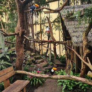 Second tamarin house in "Amazon" hall