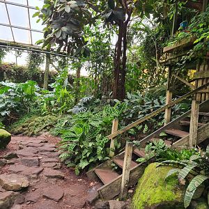 Adventure path and watchtower in "Amazon" hall