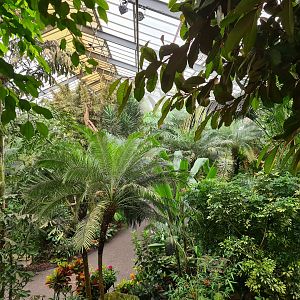 View from watchtower in "Amazon" hall