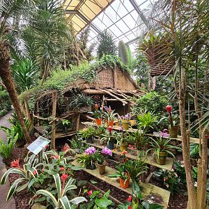 Decorative house and flowers in "Amazon" hall