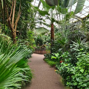 Pathway to catfish pond in "Amazon" hall