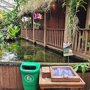 Catfish feeding table in "Amazon" hall