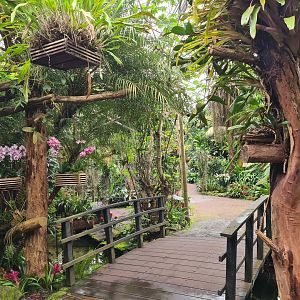 View in second hall (the Orchid garden)