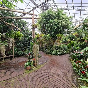 View in Orchid garden hall