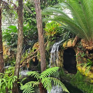 Waterfall site in Orchid garden hall