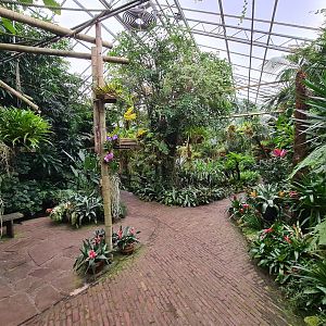 View in Orchid garden hall