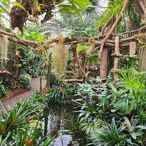 View in Orchid garden hall