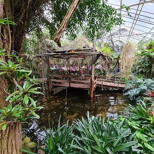 Hut island in Orchid garden hall