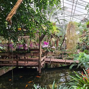 Hut island in Orchid garden hall