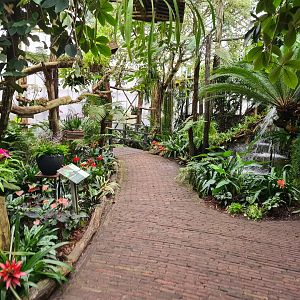 View in Orchid garden hall