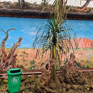 Australia mural in Lori(keet) garden
