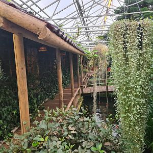 Path around Lori(keet) garden