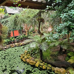 Path around Lori(keet) garden