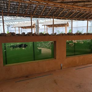 Main viewing window in Pankong river