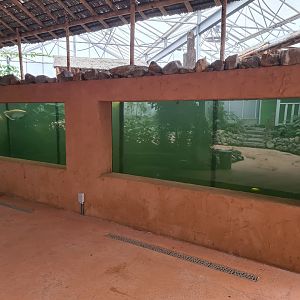 Main viewing window in Pankong river