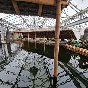 Top of Pankong river