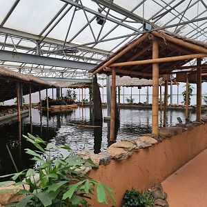 Top of Pankong river