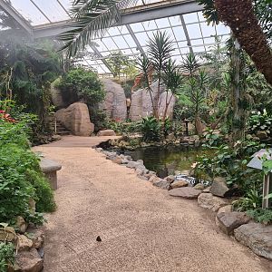 View in Butterfly valley