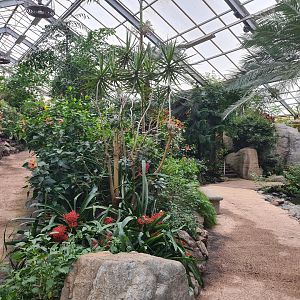 Pathways in Butterfly valley