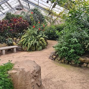 Pathway in Butterfly valley