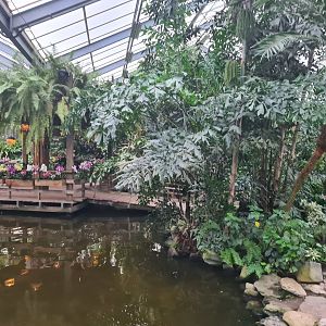 Central pond in Butterfly valley