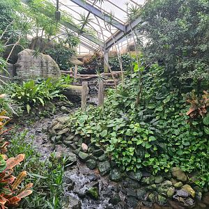 Waterfall in Butterfly valley