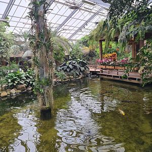 Central pond in Butterfly valley
