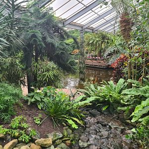 Central pond in Butterfly valley