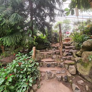 Adventure path in Butterfly valley