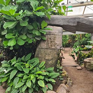 Rock arch and bridge in Butterfly valley