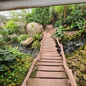 Bridge in Butterfly valley