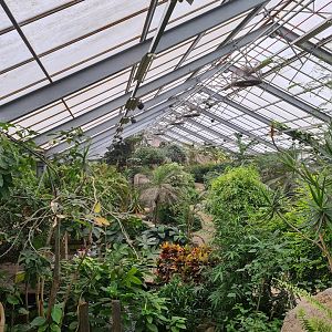 Top view of Butterfly valley