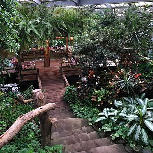 View in Butterfly valley