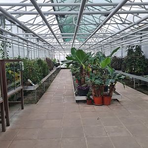 Caterpillar rearing room