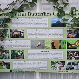 Signage about the origins of Orchideeënhoeve's butterflies
