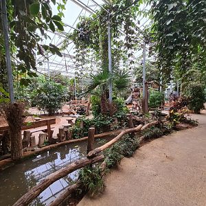 "Mangrove forest" playground