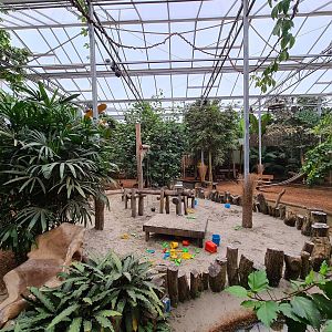 "Mangrove forest" playground