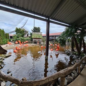 View of Lemur kingdom