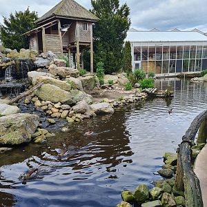 Island in Lemur kingdom