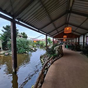 Walkway in Lemur kingdom