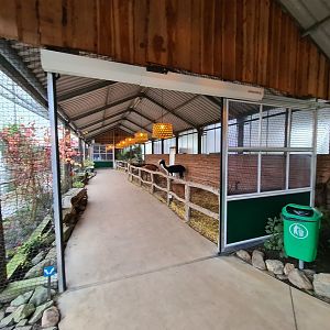 Alpaca and Donkey barn in Lemur kingdom