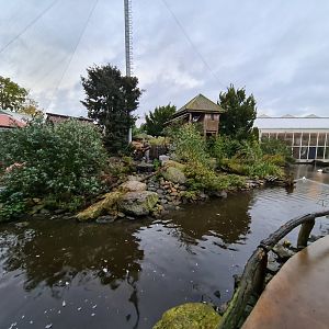 Island in Lemur kingdom